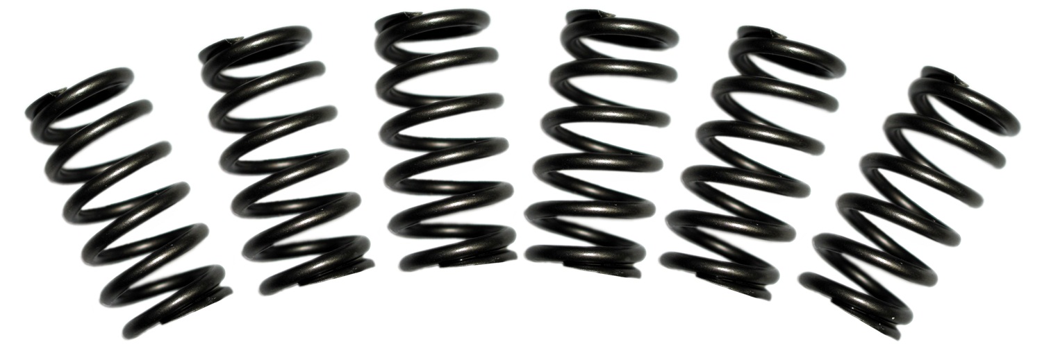 BD Diesel BD Diesel 1030060 Valve Spring Kit