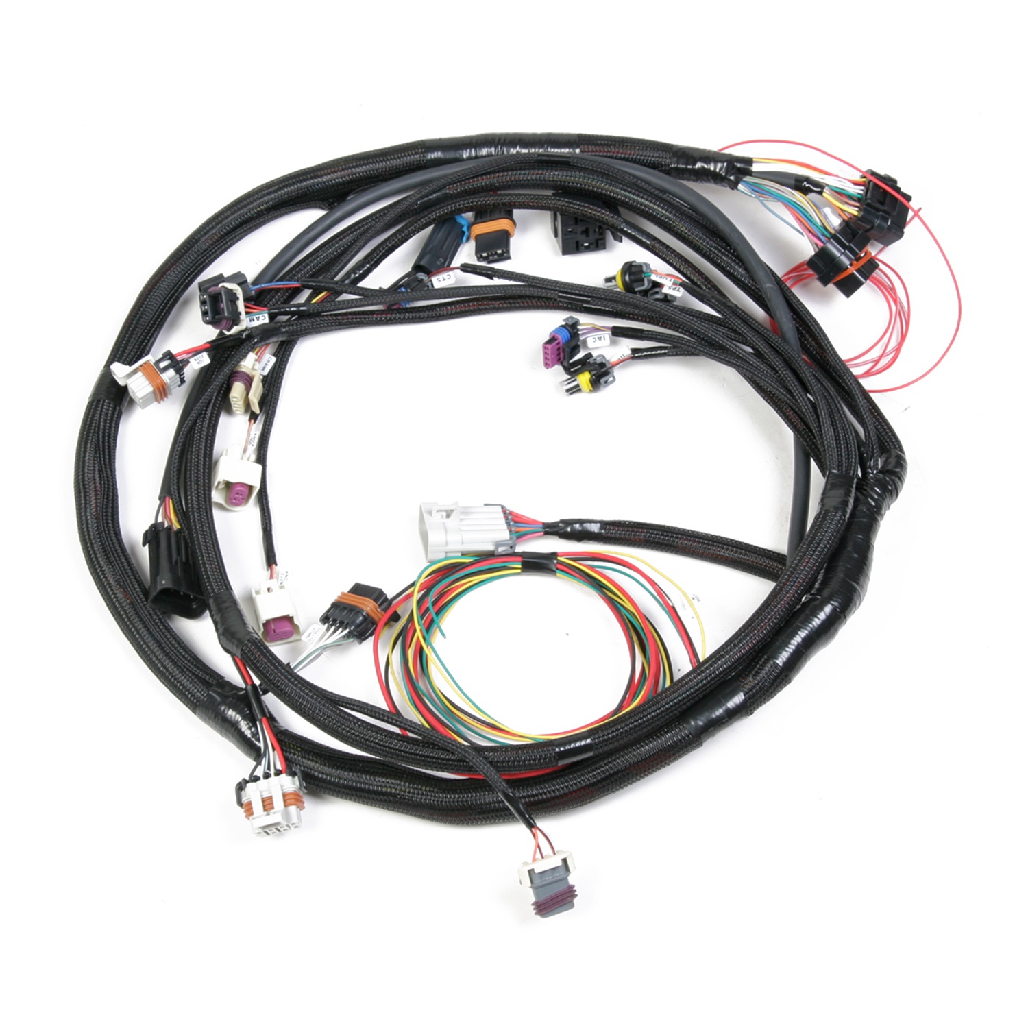 Holley Performance Holley Performance 558-102 LS1 Main Harness